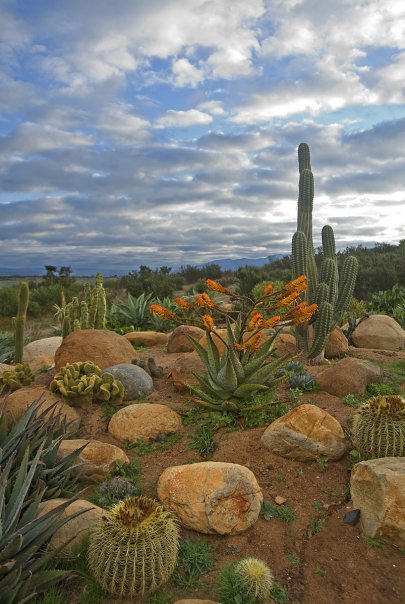 Villas In Baja California